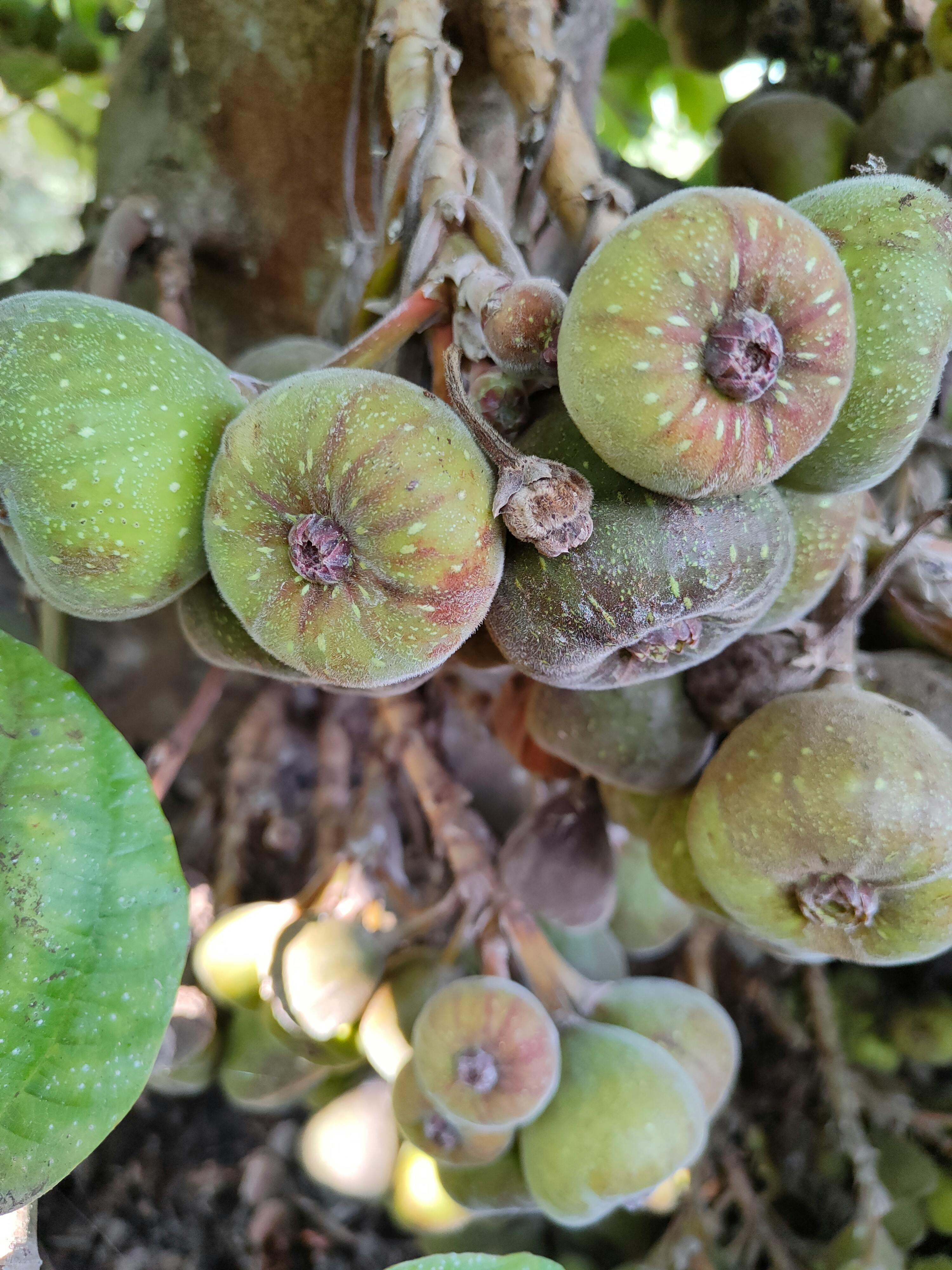 Nồng Độ Cồn & Cái Giá Phải Trả: Đừng Để Chén Rượu Lấy Mất Sự Nghiệp