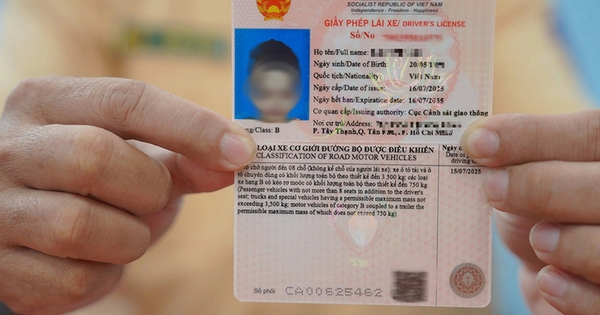 Giấy Phép Lái Xe Màu Hồng Mới: Tất Tần Tật Thông Tin Quan Trọng Bạn Cần Biết