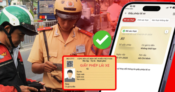 Cập Nhật Nóng: Ai Sẽ Phải Đổi Giấy Phép Lái Xe Theo Quy Định Mới? Hướng Dẫn Chi Tiết A-Z
